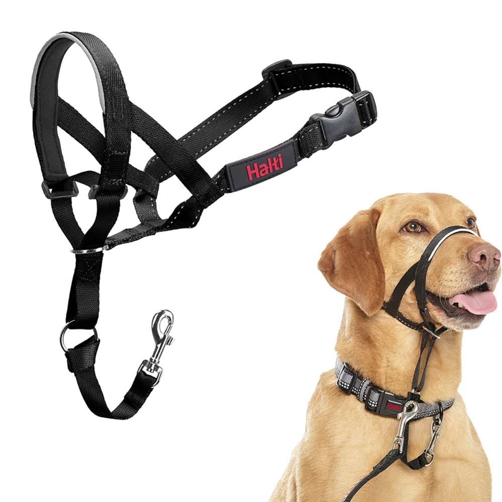 Black Headcollar for Dogs - Picture 6 of 7